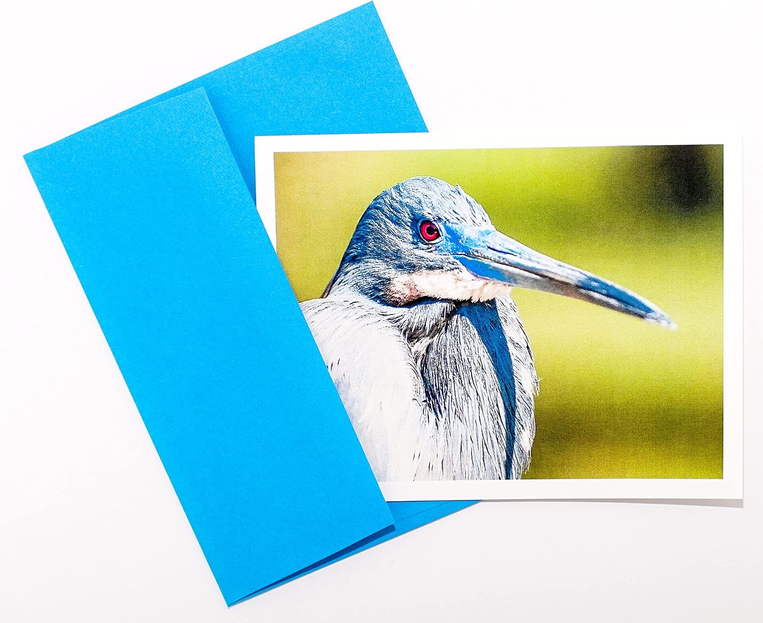Bird Photography Smooth Note Cards 16 w/18 Colored Envelopes, Boxed Set (4.25"x 5.50") Blank Inside - Made in USA