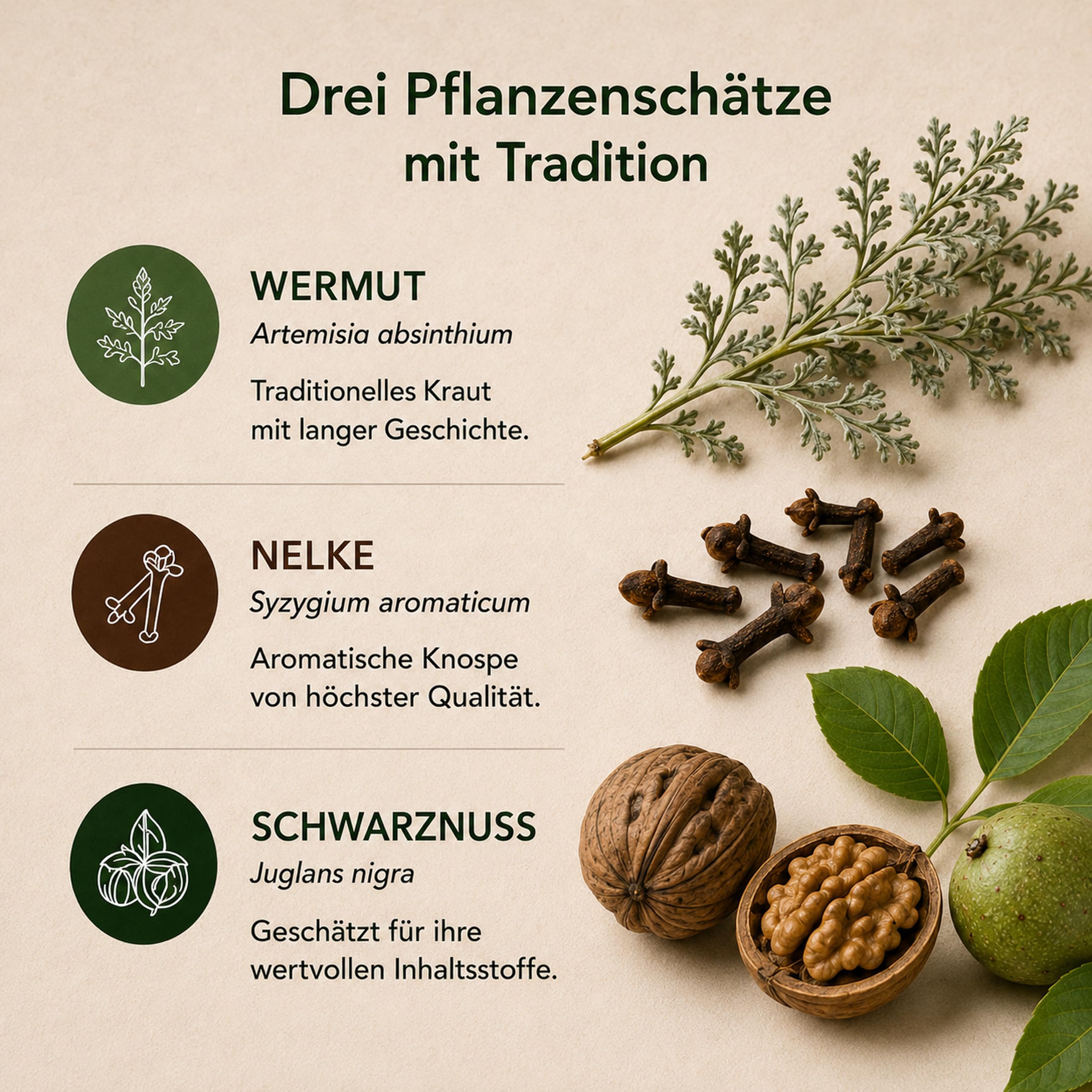 PARAMIX – Wermut, Nelke & Schwarznuss Kräutertinktur Komplex | 3x 50 ml