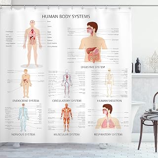 Ambesonne Human Anatomy Shower Curtain, Complete Chart Different Organ Body Structures Cell Life Illustration, Cloth Fabric Bathroom Decor Set with Hooks, 69" W x 70" L, White