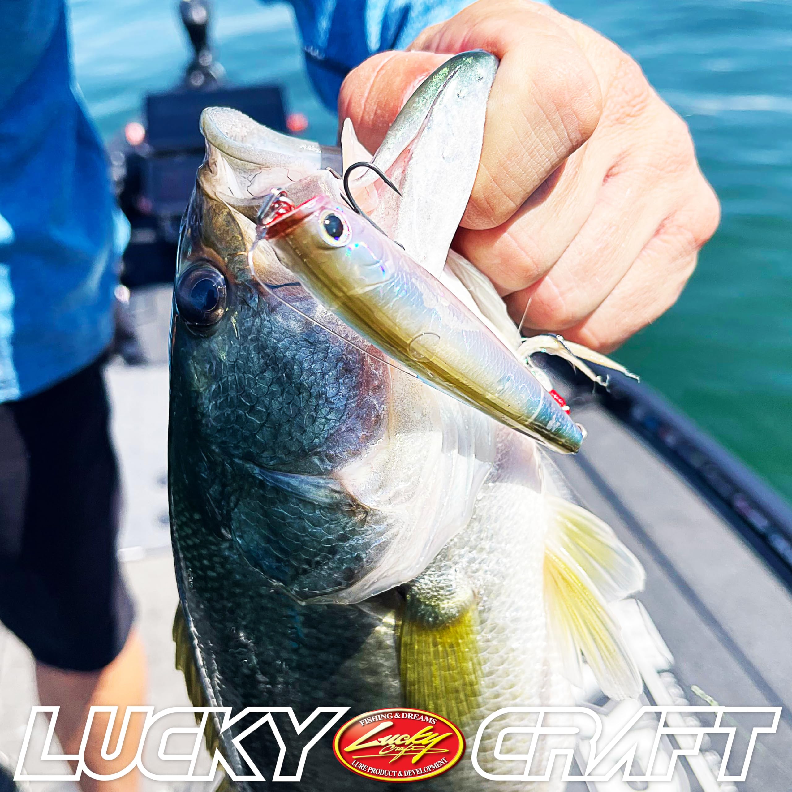 bass craft lures Amazon.com : LUCKY CRAFT Gunfish 115NF Top Water Bass Fishing Lures, 4.5”  Floating Lure with Cupped Mouth, Freshwater Trout and Bass Lures Fishing  Gear, Accessories for Tackle Box, 074 Chrome : Sports & Outdoors