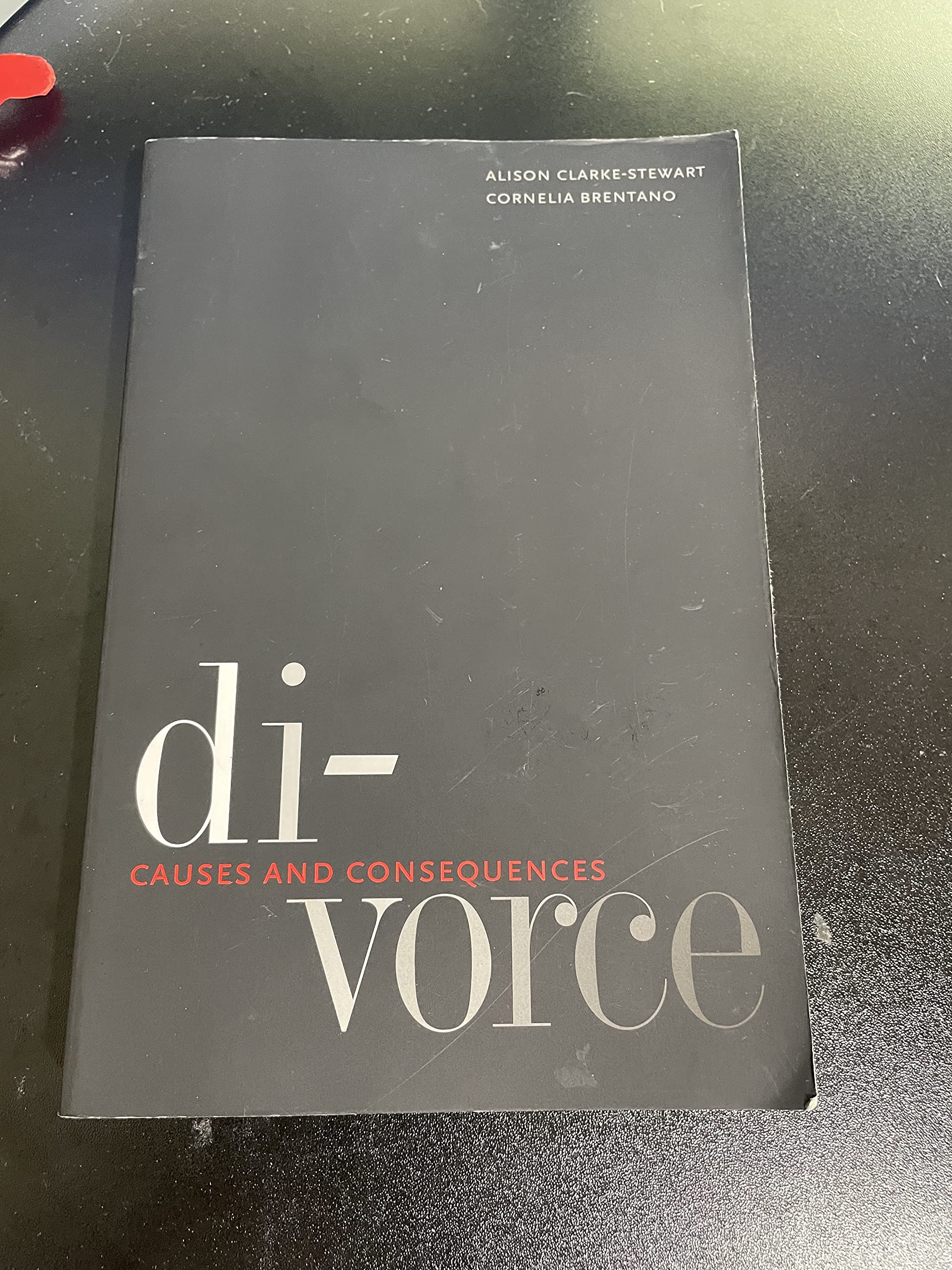Divorce: Causes and Consequences (Current Perspectives in Psychology)