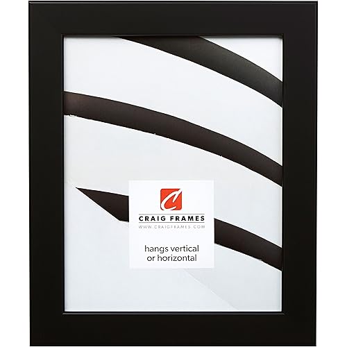 Craig Frames 26273 16 by 22-Inch Picture Frame, Smooth Wrap Finish, 1.26-Inch Wide, Black Satin