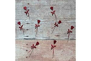 Table Scatters, 1500 Pcs Rose Confetti for Valentine's Day