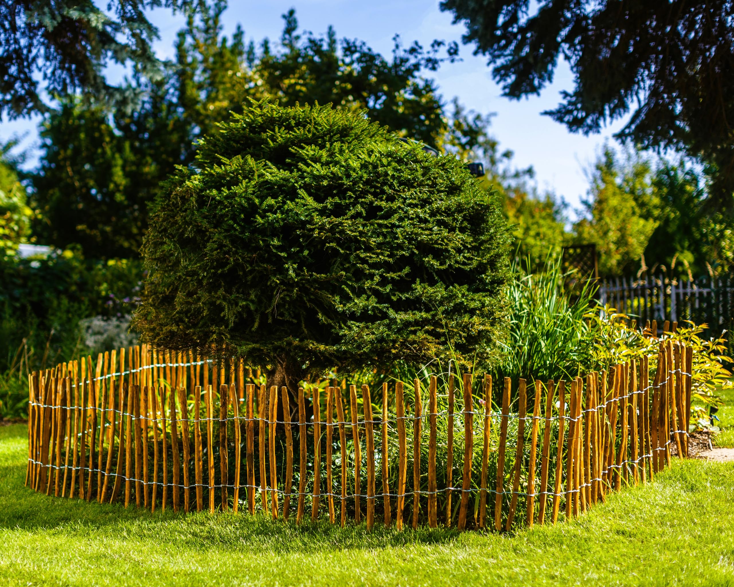 BOGATECO Valla de madera de avellana marrón impregnada | 60 cm de alto y 500 cm de largo | valla de madera | distancia entre listones 4-5 cm | valla de estacas perfecta como borde de bancal o