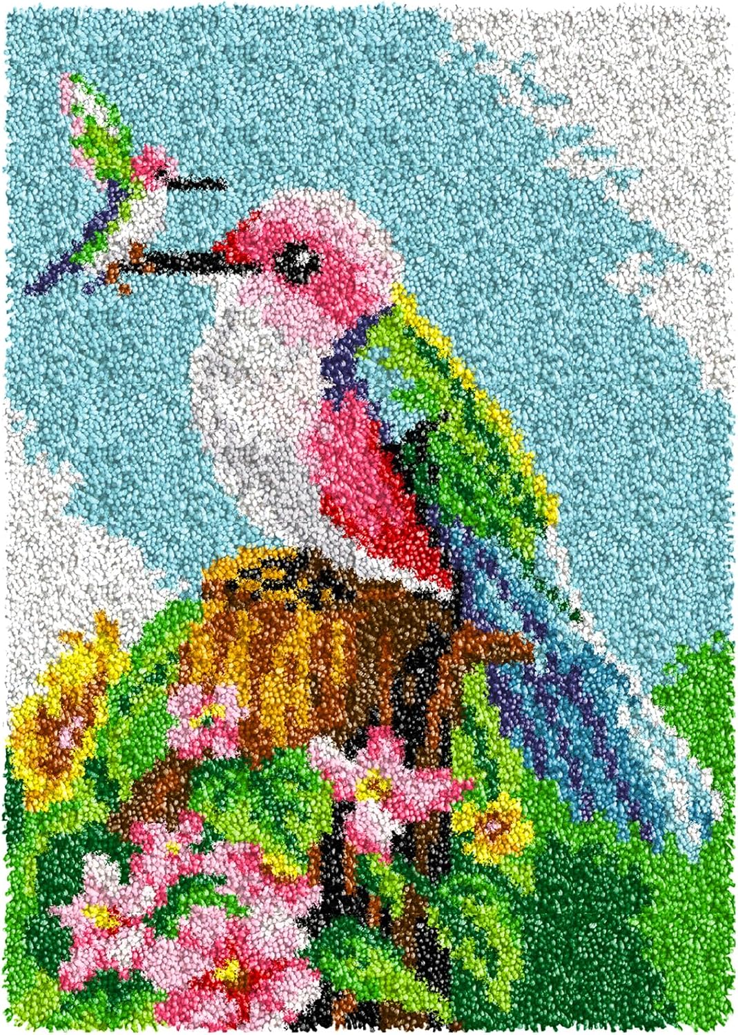 HIYIRUI Latch Hook Kits for Adults and Kids 23.6 x 15.7