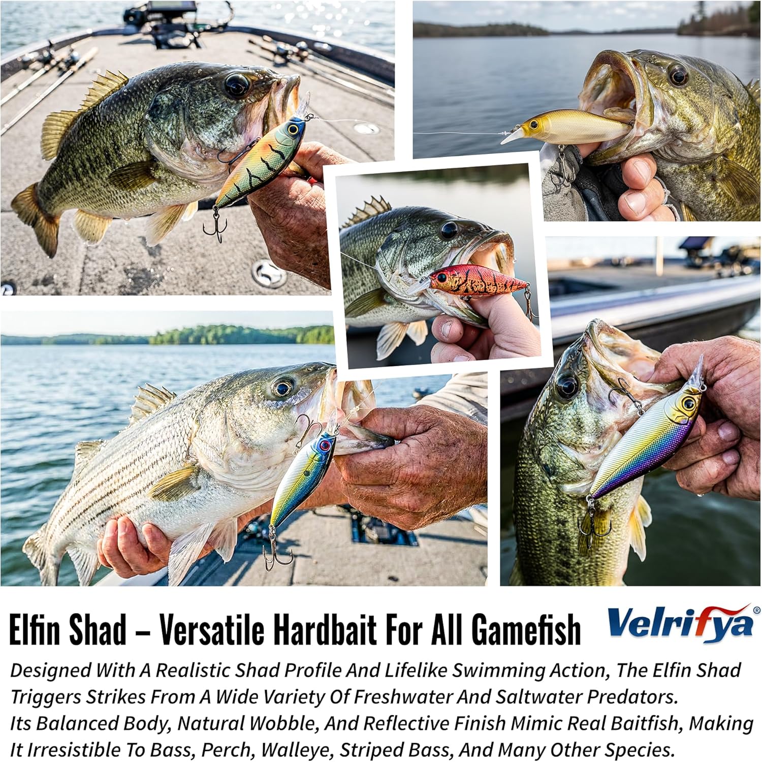 Hybrid Crankbaits/Jerkbait for Bass Fishing-Shallow Diving Crank Shad for Bass Crappie Walleye Pike, Cold Water for Winter and Spring Fishing, for Freshwater and Saltwater