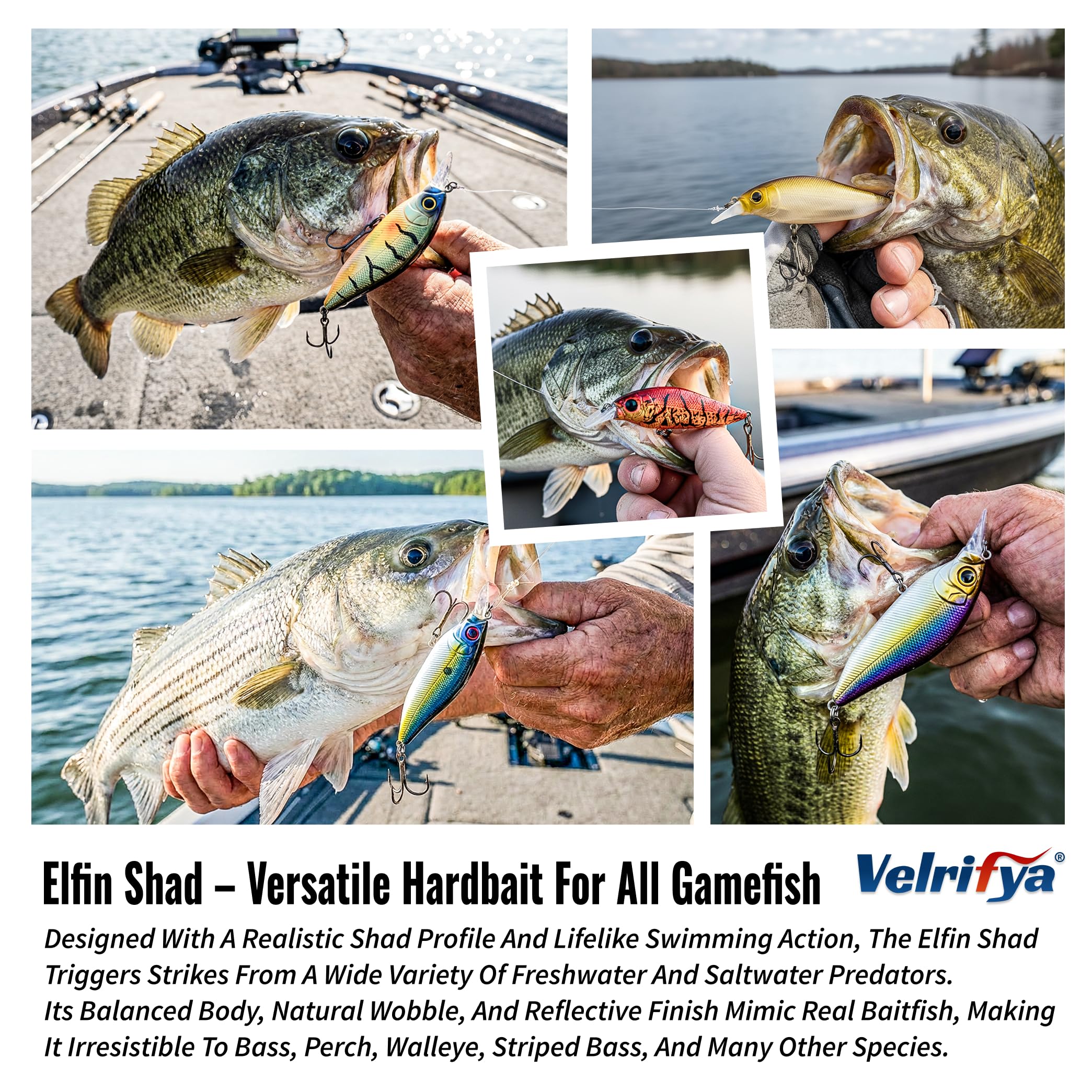Crankbaits/Jerkbait híbridos para pesca de lubina, buceo poco profundo, para lucio, lucio, agua fría para pesca de invierno y primavera, para agua dulce y salada