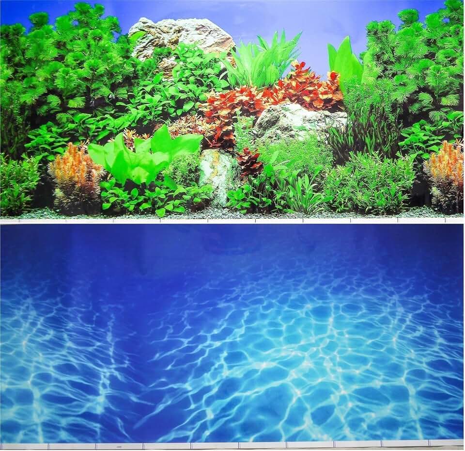 Amazon.co.uk Aquarium Décor Backgrounds Aquarium Décor
