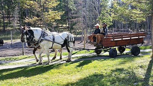 Vista 5 de Fireweed Montana - Ingredientes para el desayuno de jarabe – 9 onzas cultivadas y recogidas a mano en la naturaleza de Bounty Foods para cócteles