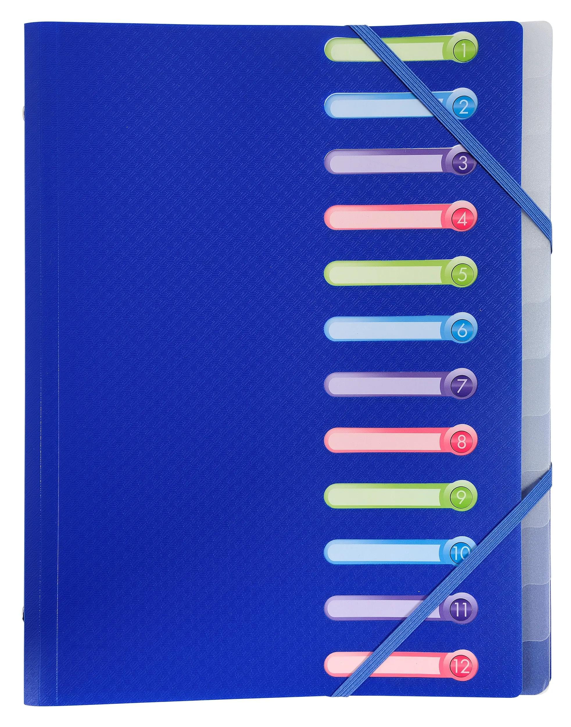 Exacompta - Réf. 55180E - Carton de 10 trieurs Opak - 3 rabats - avec élastiques et fenêtres découpées - couverture et intérieur en PP - 12 compartiments - dim 25x32cm - pour A4 - assorties