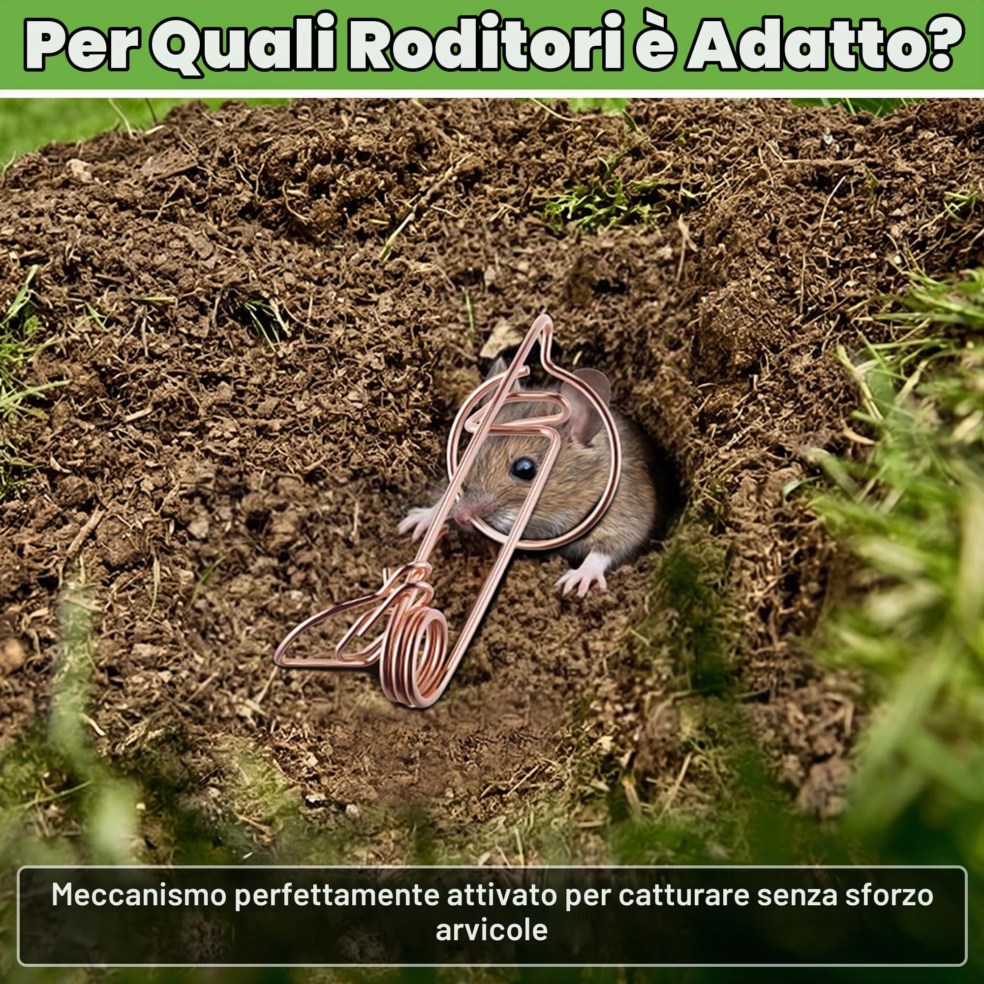 Enhon Trappola Professionale per Arvicole e Talpe, trappole per Arvicole in Filo di Acciaio ramato, efficaci Contro Arvicole Talpe in Giardino