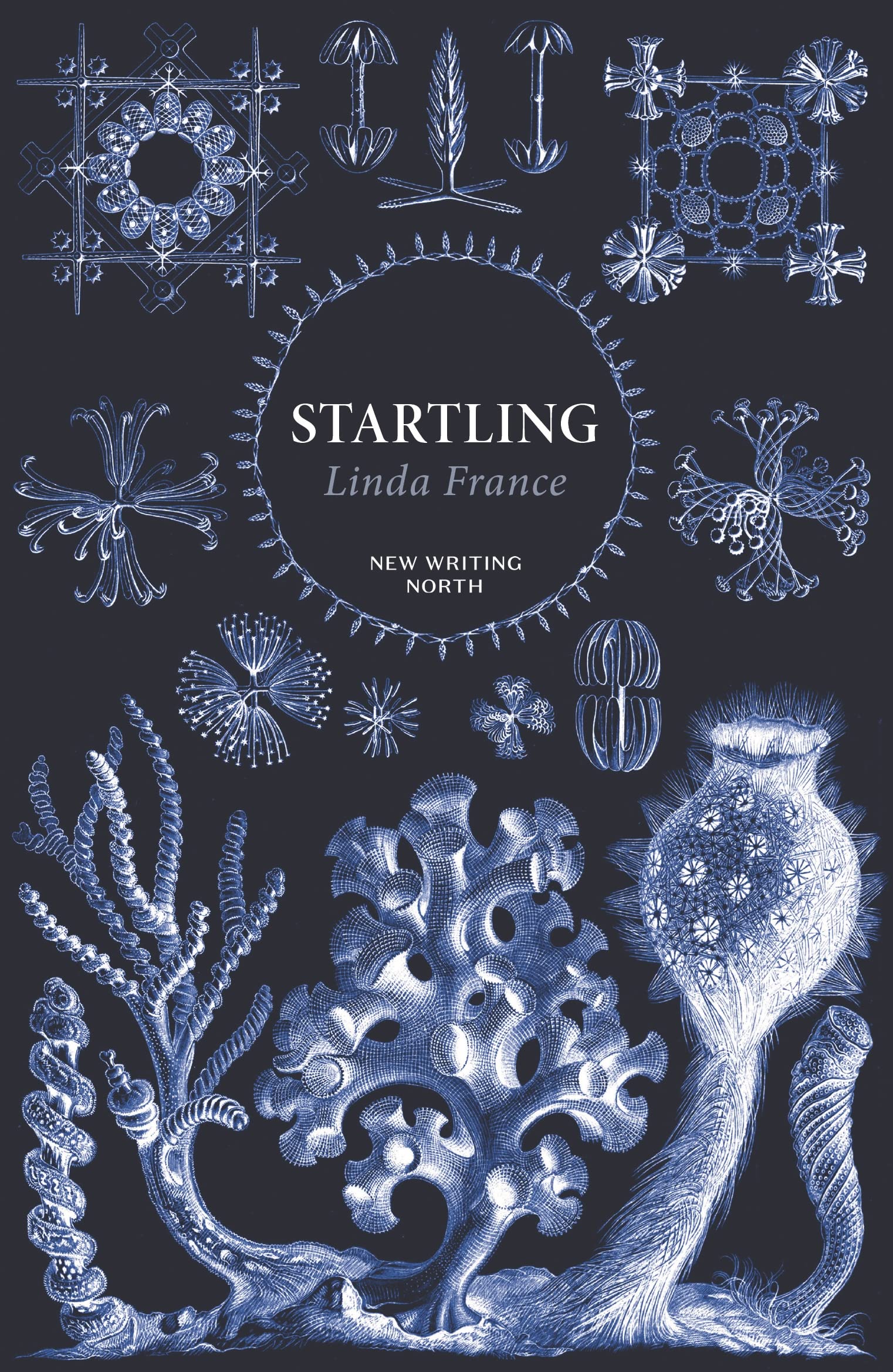 Startling by Linda France (Paperback Book)