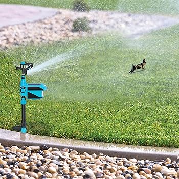 Amazon.com : Aqua Joe AJYP101 Yard Patrol Motion Activated
