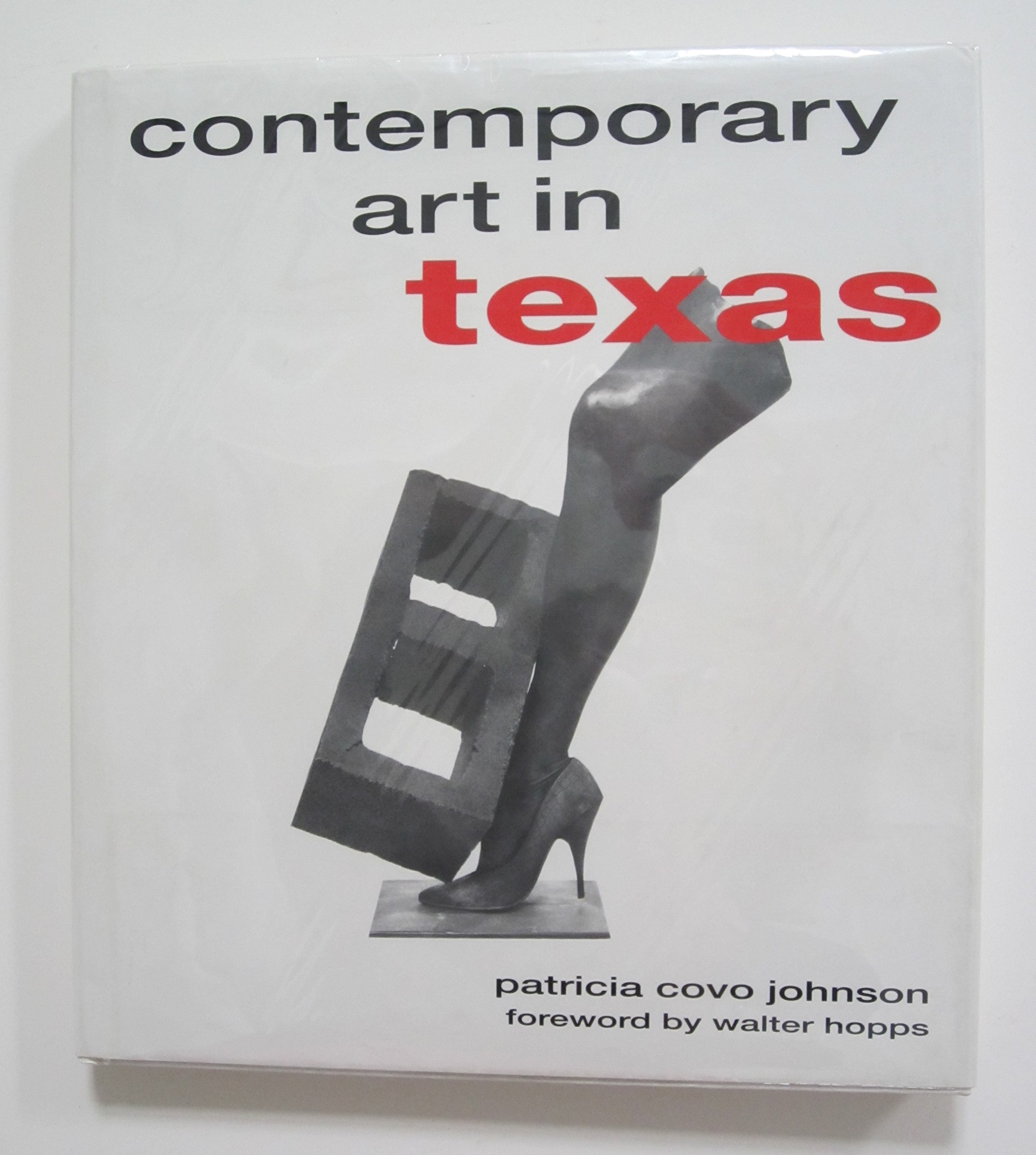 Contemporary Art in Texas Idée Cadeau Idéale Passionnés de Culture