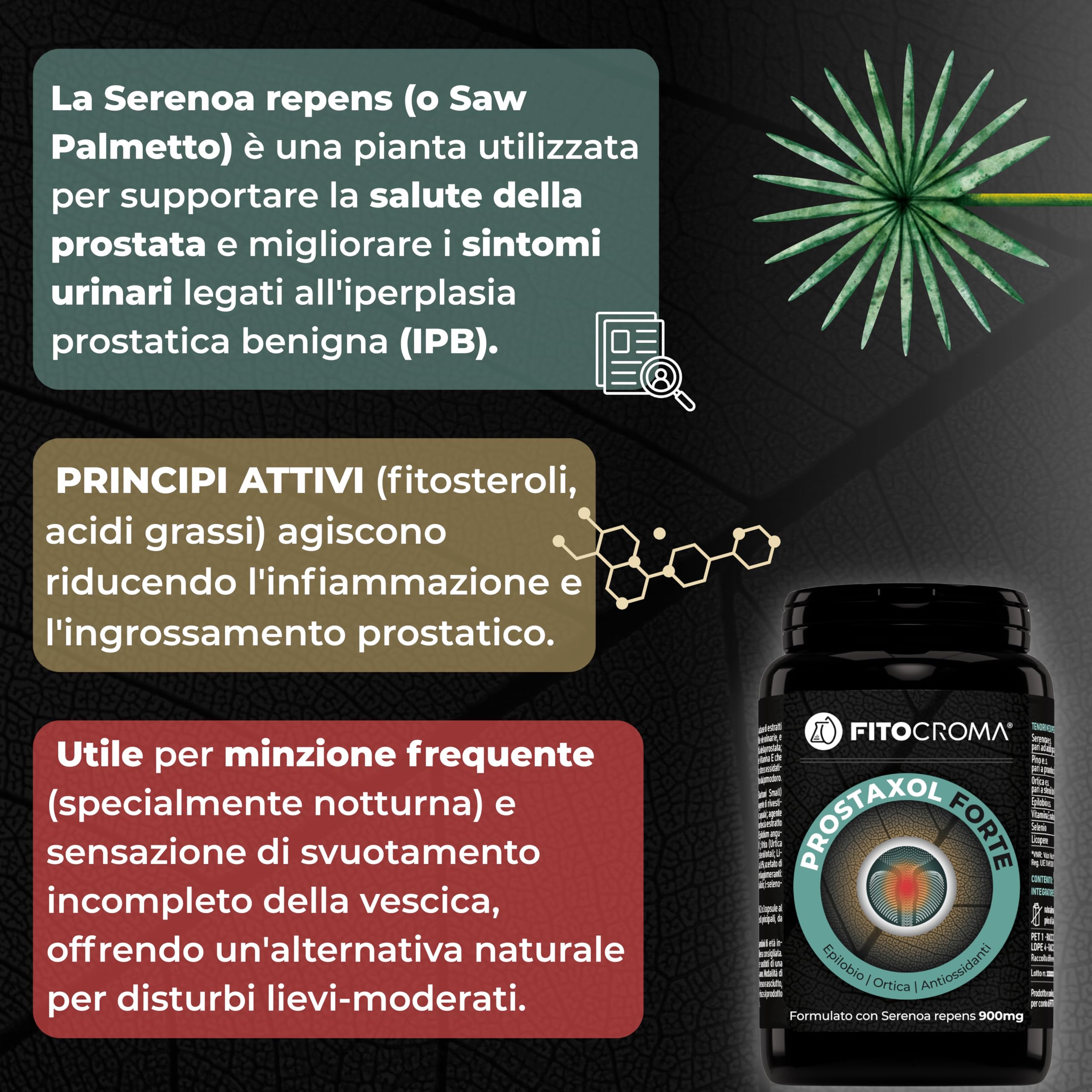 SERENOA REPENS FORTE 900MG - 180 capsule - Saw palmetto prostata, Integratore prostata, con Ortica, Epilobio, Licopene, Vit.E, Selenio e Proantocianidine, Formula Strong