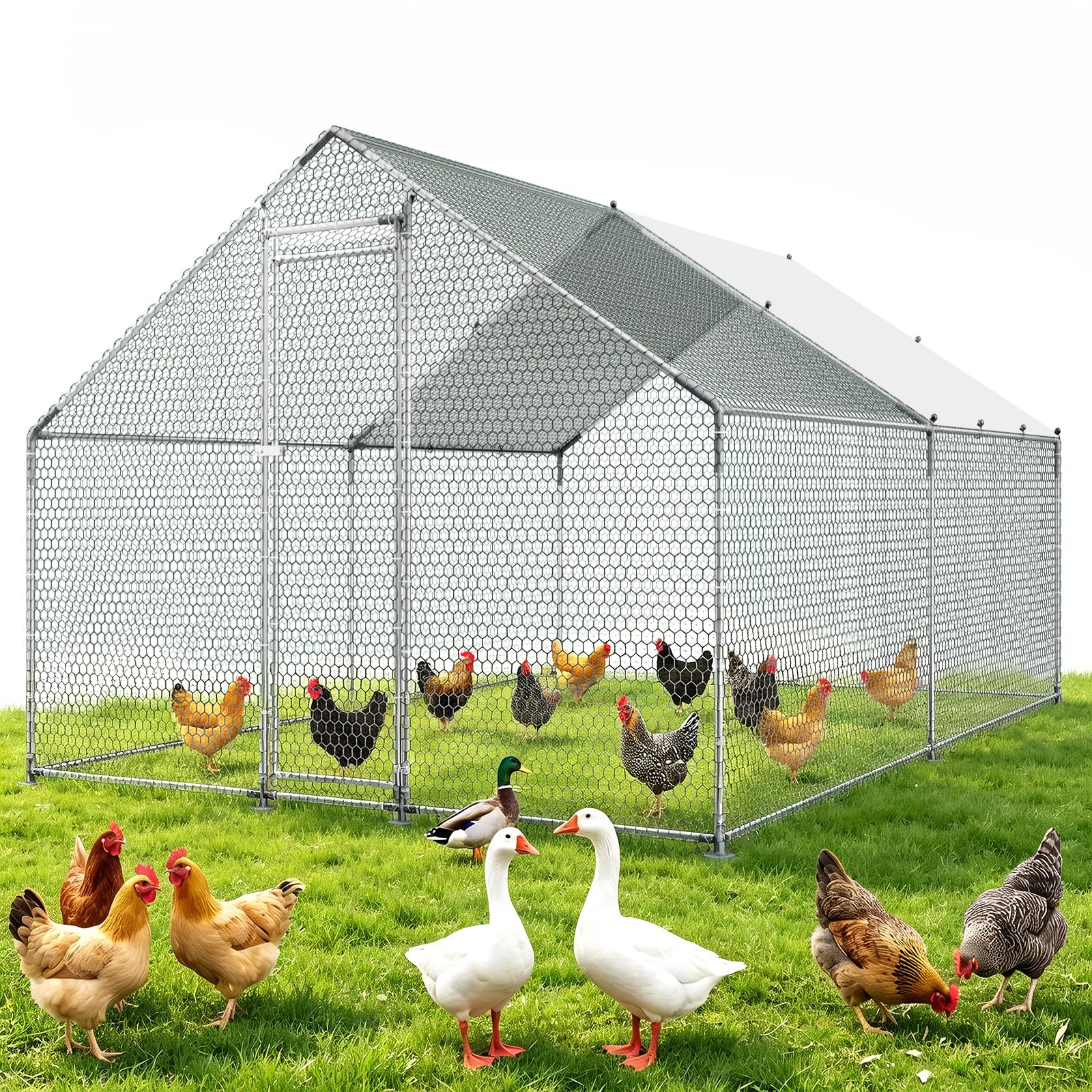 VEVOR Grande Pollaio in Metallo Misure 3 x 4 x 2 m per Polli per Esterno