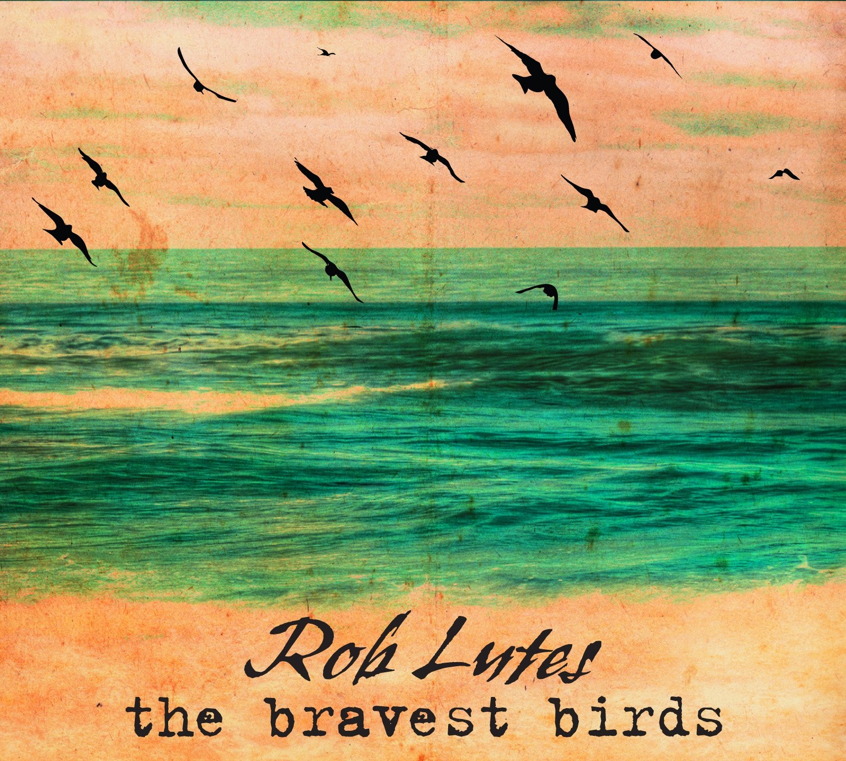 Bravest Birds [Audio CD] Rob Lutes