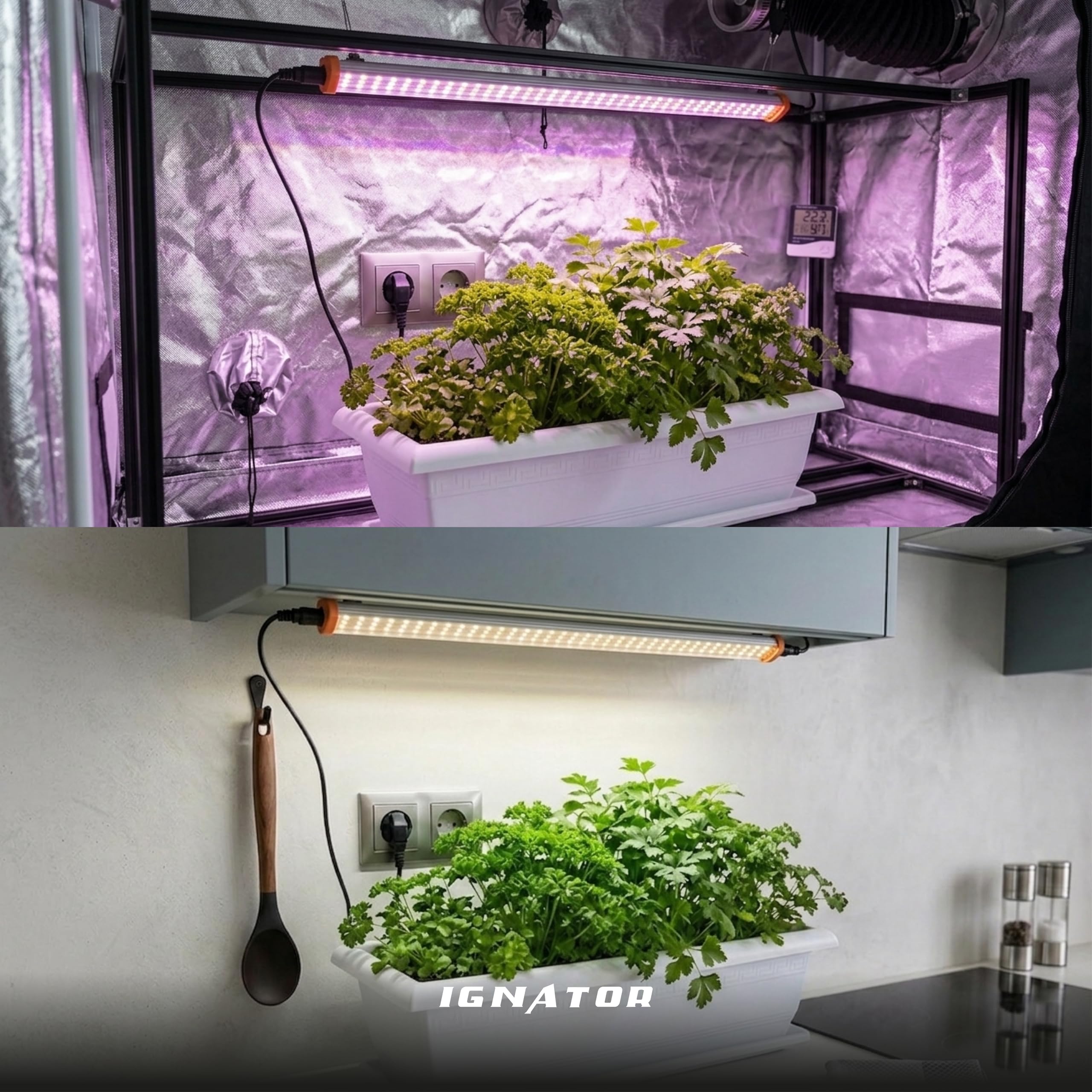 HeroLED Barra de cultivo. Luminaria LED para plantulas, esquejes, propagación o como apoyo luminico en habitacion de cultivo. 54cm x 2,6cm x 3,7cm. (crecimiento y floración). (6600K, LED42W)