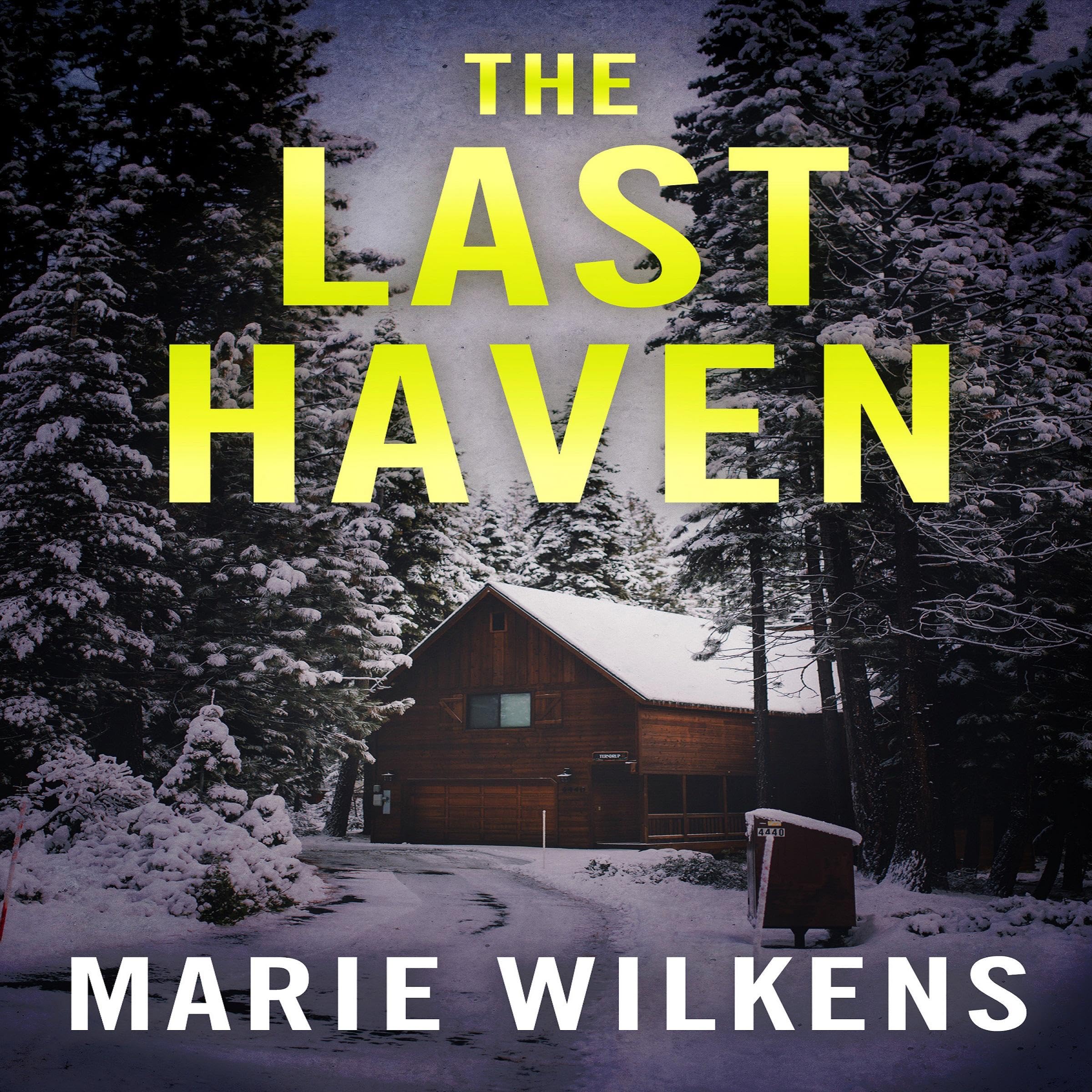 Cover art for The Last Haven