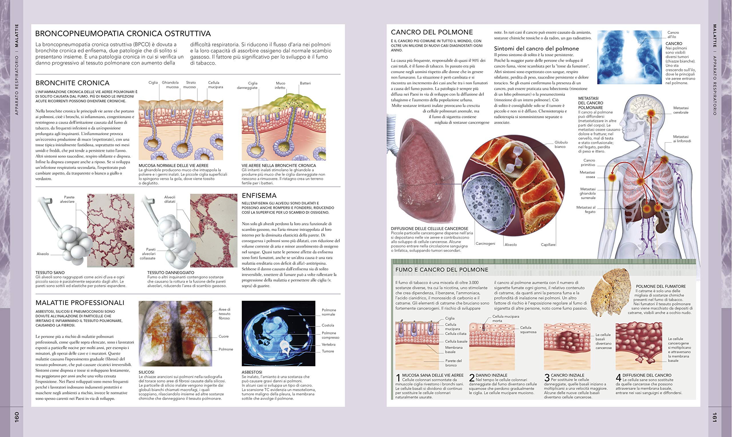 Il corpo umano. Una guida illustrata su struttura, funzioni e patologie (Italiano)