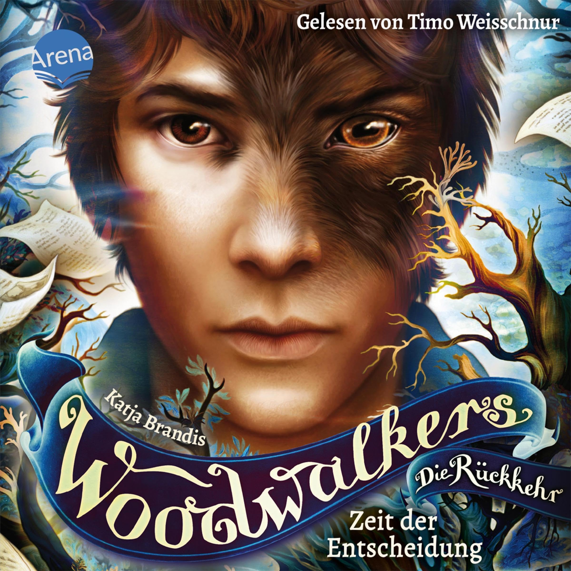 Cover art for Zeit der Entscheidung