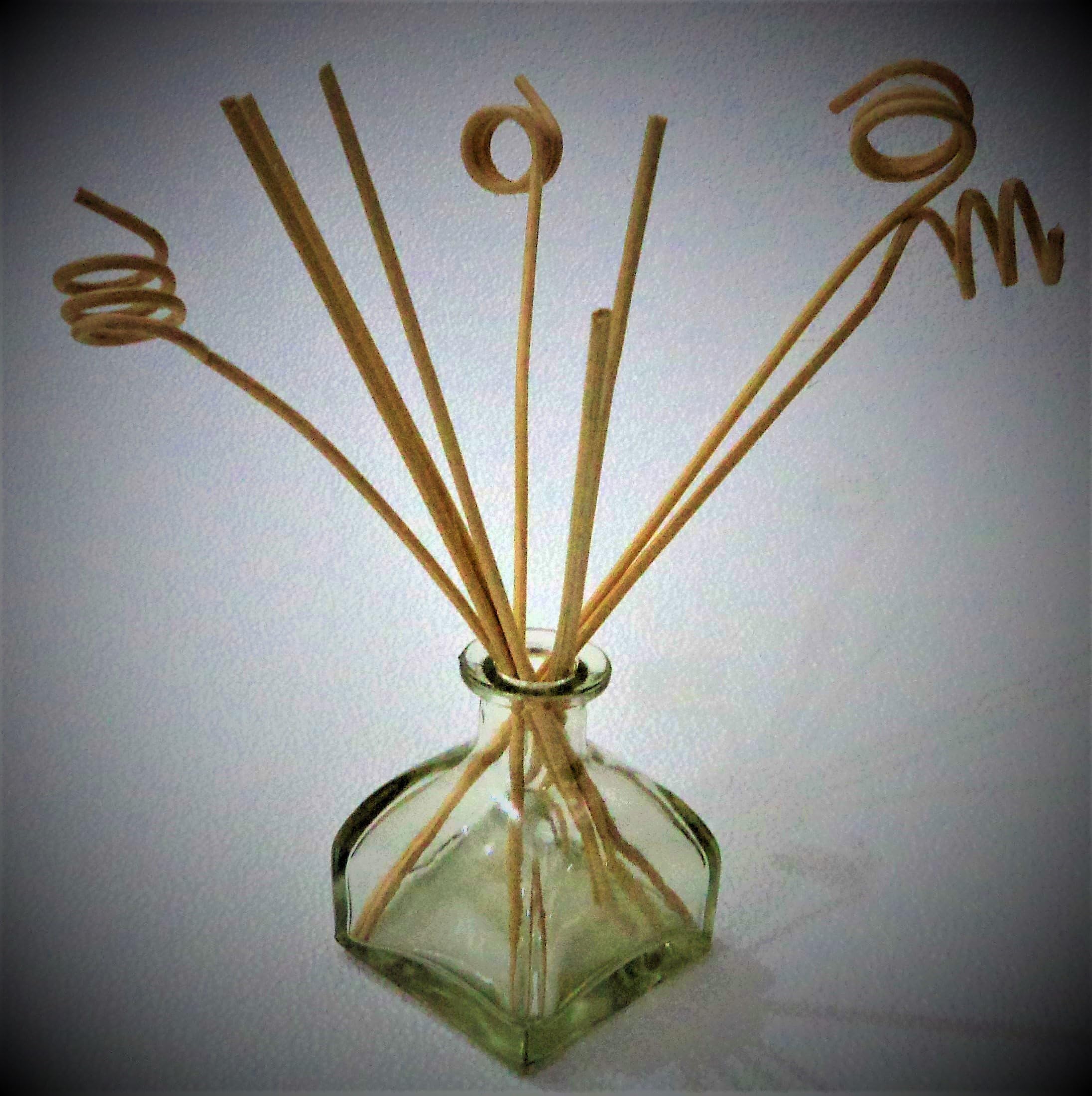 Glass Bottle with 8-Piece Reed Sticks, 100ml (Clear)