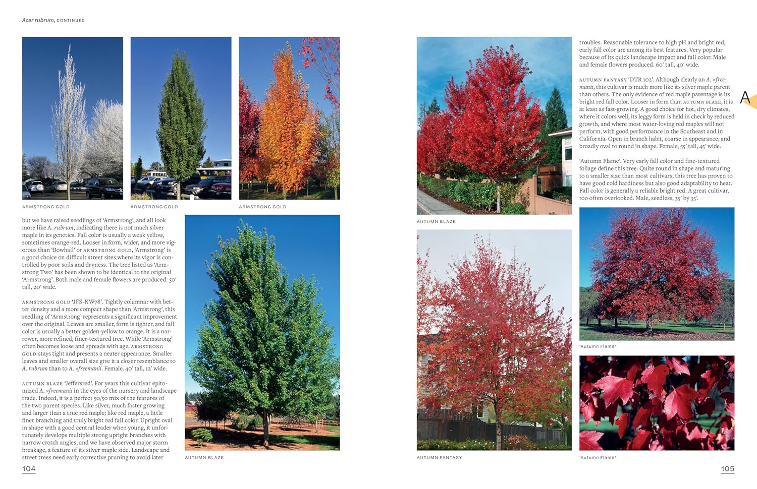 The Tree Book: Superior Selections for Landscapes, Streetscapes, and Gardens      Hardcover – April 30, 2019