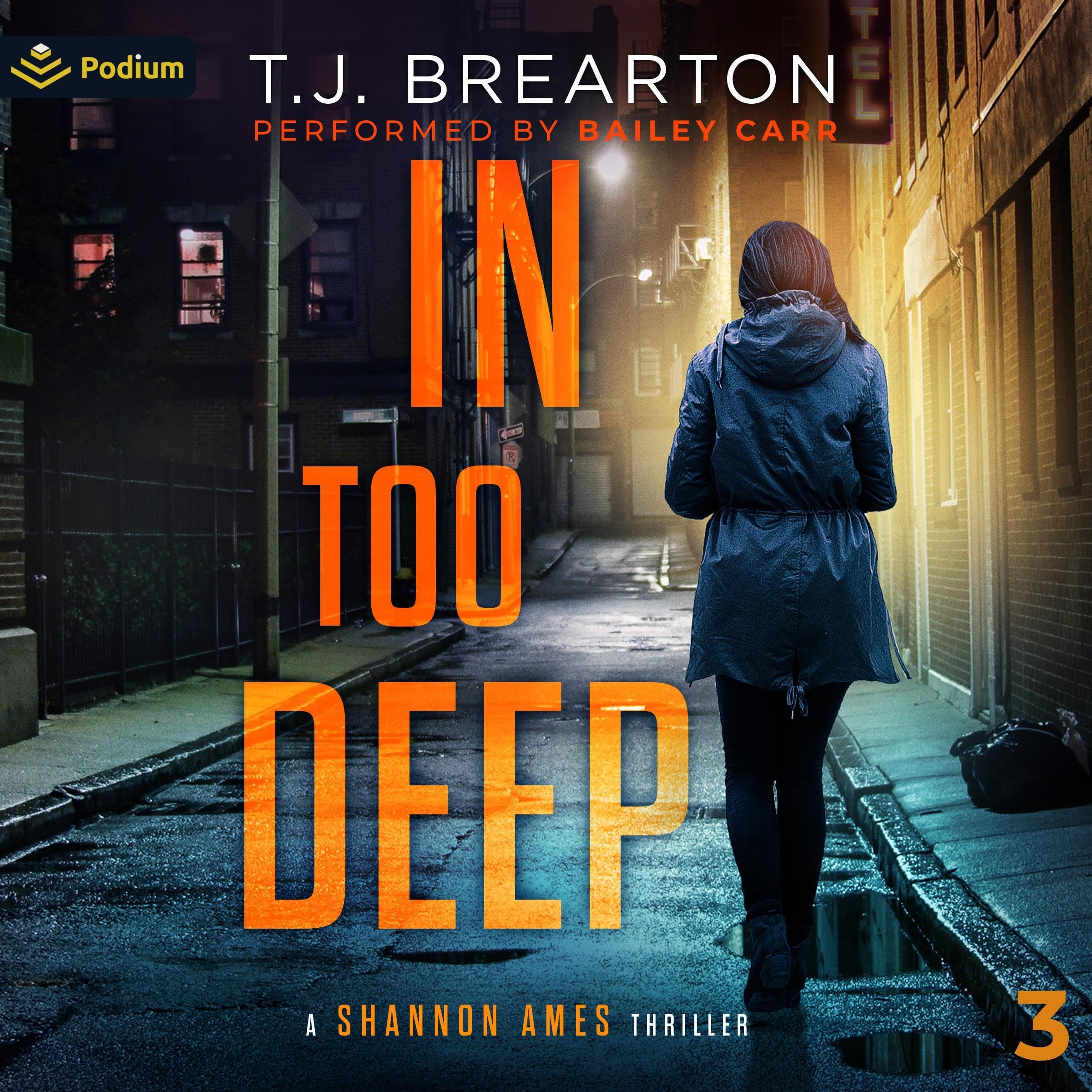 Cover art for In Too Deep: Shannon Ames, Book 3