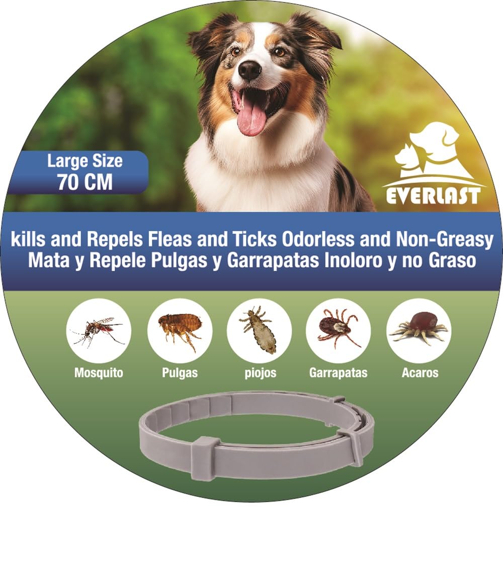 Collares Antiparasaitarios para Perros - Collar Leishmaniosis - 8 Meses de Protección - contra Pulgas Garrapatas Mosquitos Ácaros y Piojos - (70 cm 1Unidad)