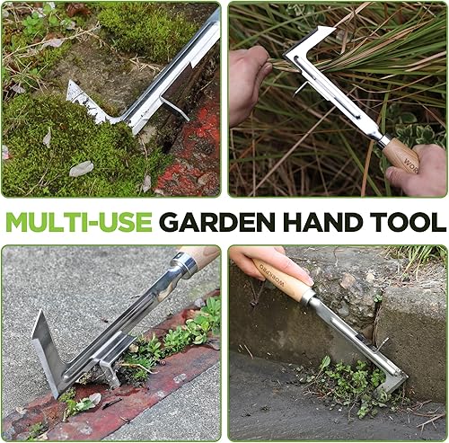 Miniatura 6 de WORKPRO Desbrozadora de grietas, herramienta de deshierbe de acero inoxidable de 12 pulgadas con mango de madera de haya, espátula extractora de