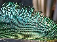 Review Image by Jean S