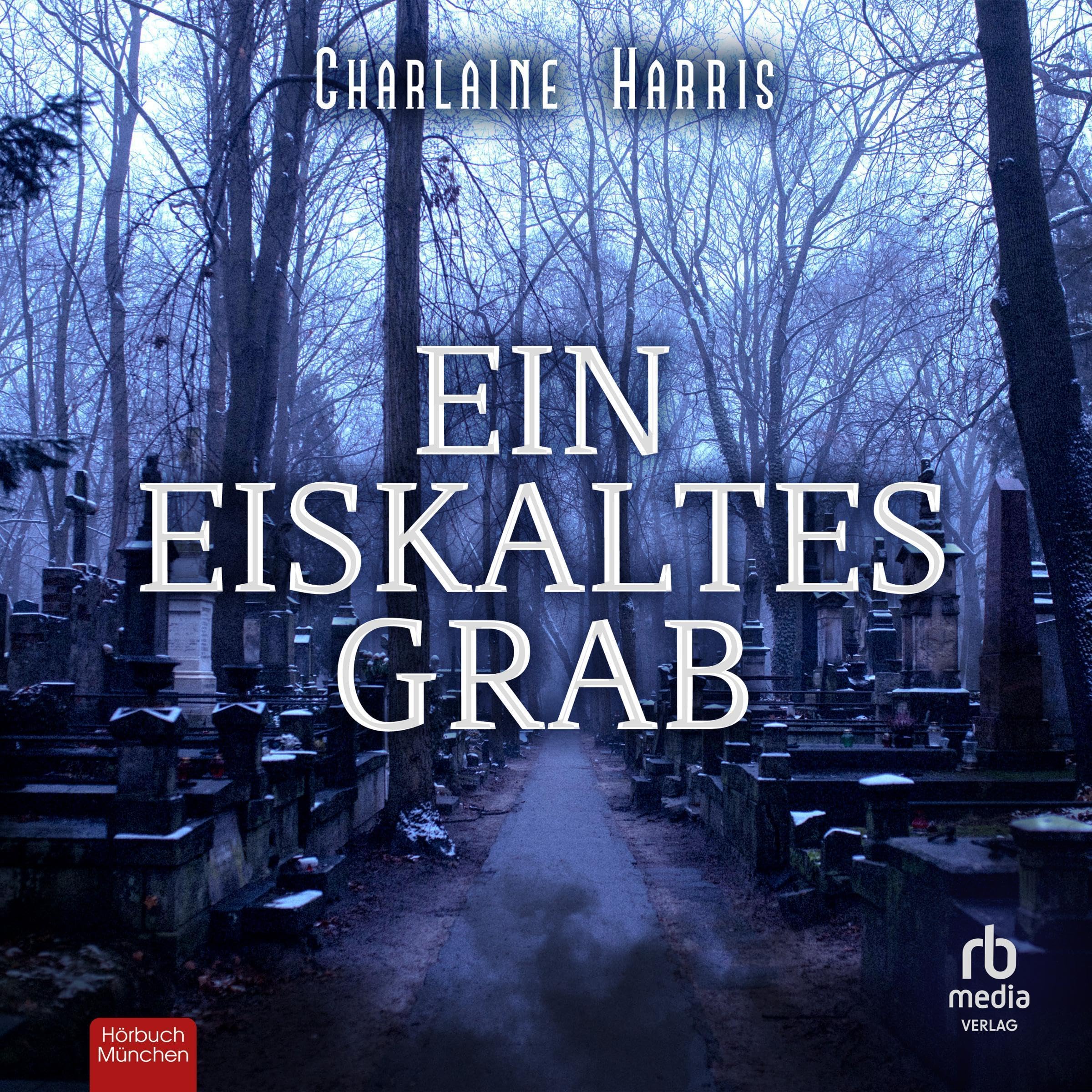 Cover art for Ein eiskaltes Grab [An Ice Cold Grave]