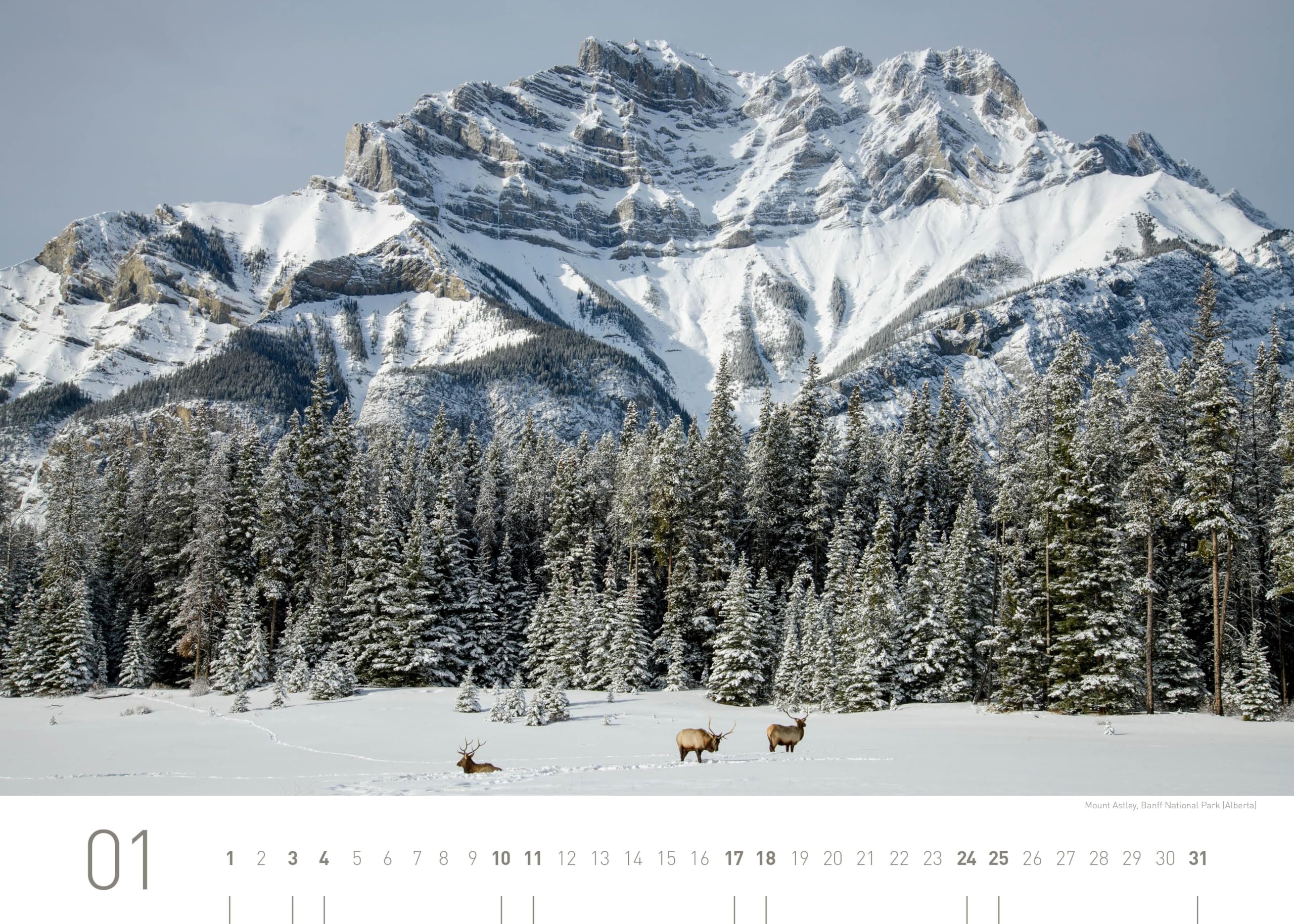 Kanada Exklusivkalender 2026 (360° Exklusivkalender 2026: Limited Edition (70 x 50 cm))