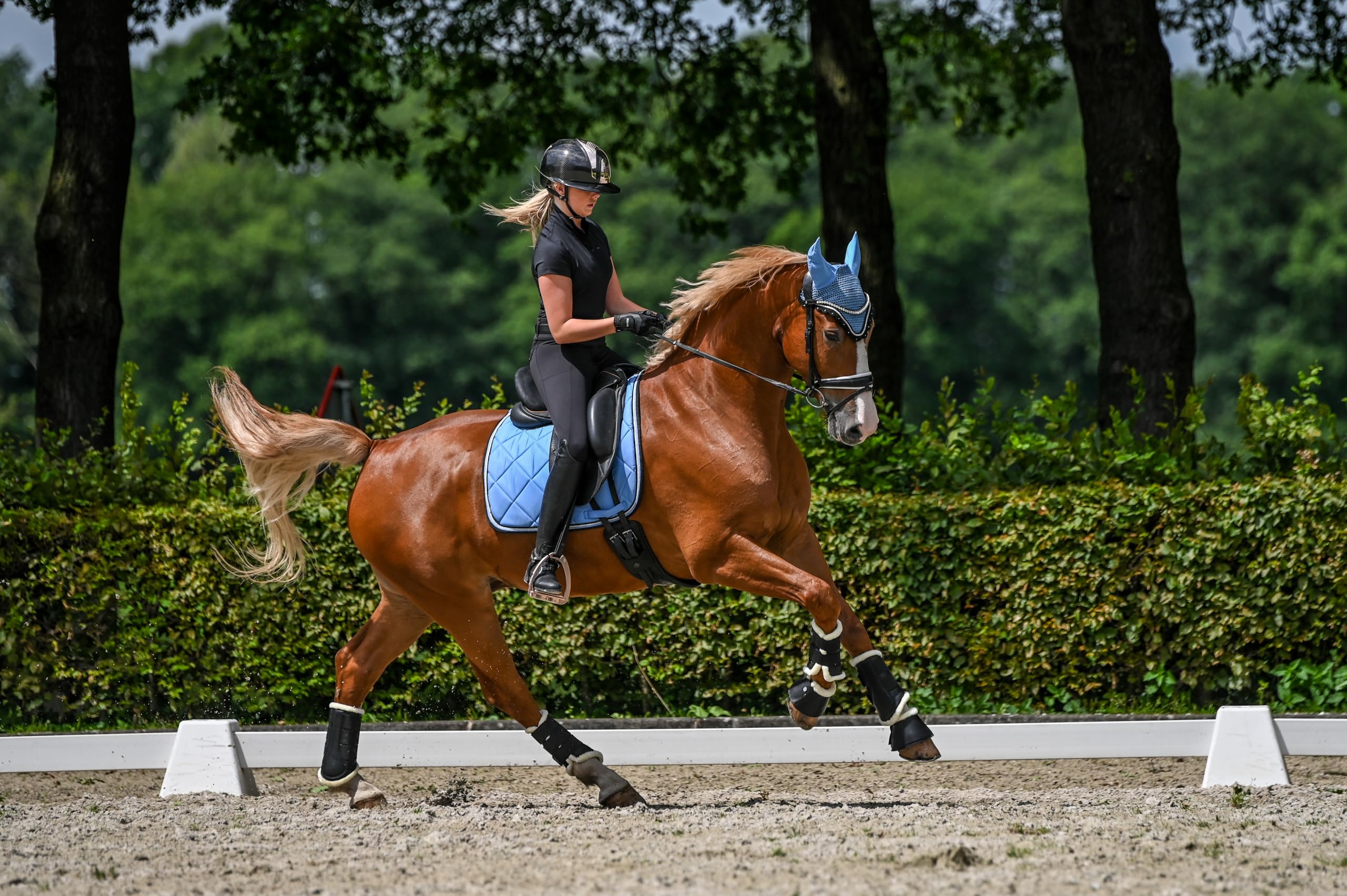 Wagner-Germany VS Schabracke mit Fliegenhaube und Strass-Steinen Babyblau