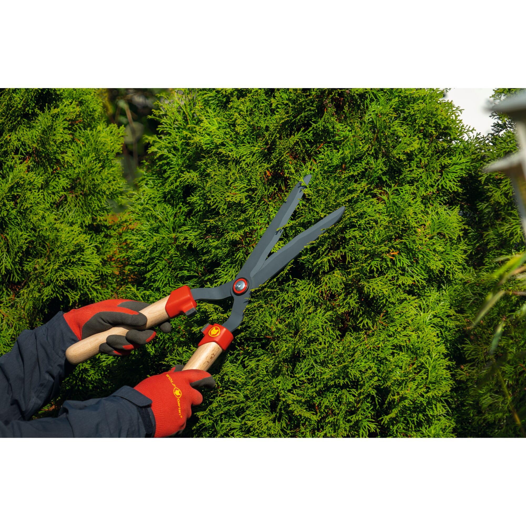 WOLF-Garten | Heckenschere HS-WW mit Wellenschliff und Holzgriff; 73AHA007650, Rot