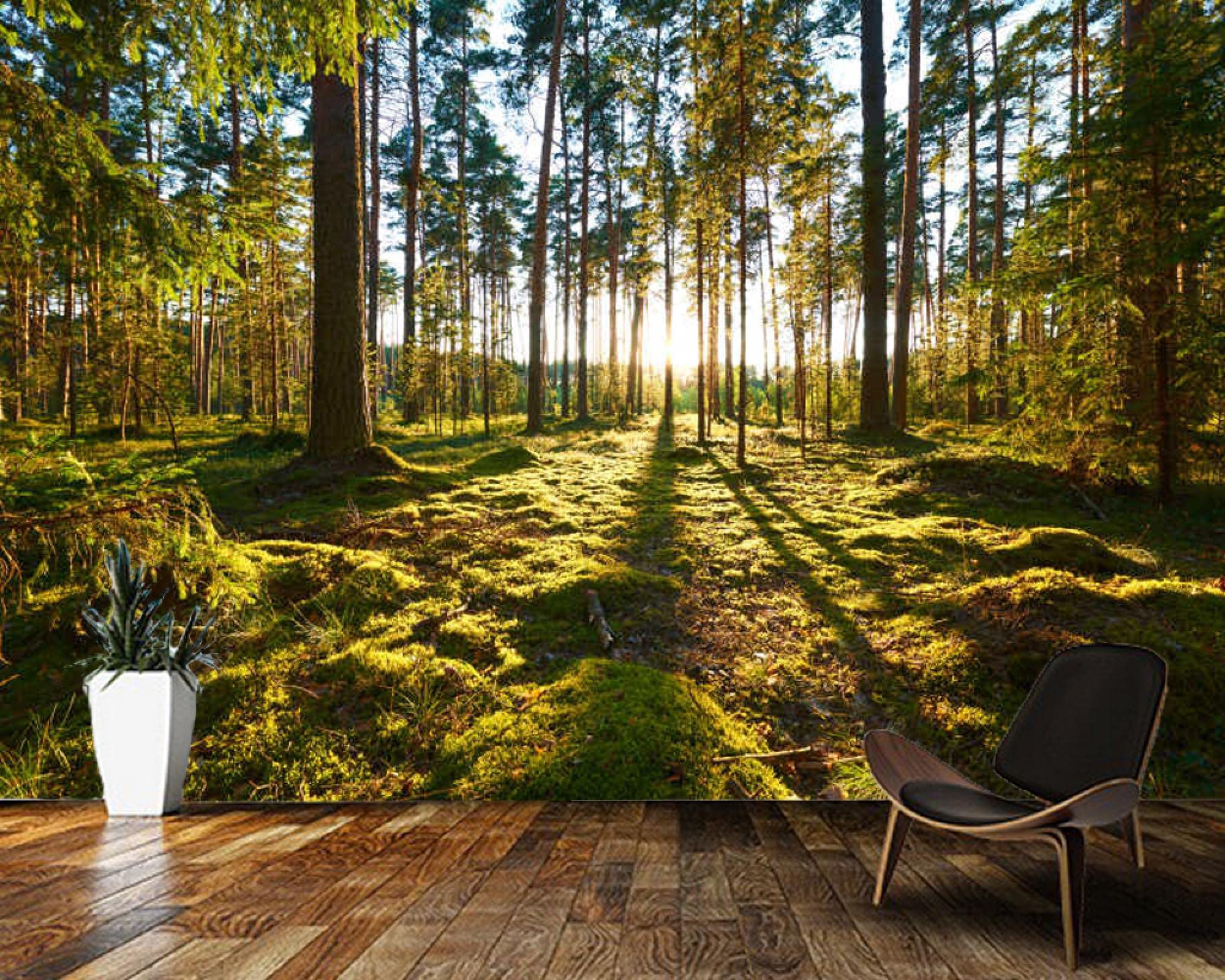 3D-Wandaufkleber mit grünen Pflanzen, Bäumen, Vlies, selbstklebend, Wandaufkleber, für Kinderzimmer, Dekoration, groß, 360 x 250 cm