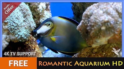 aquário romântico grátis HD - decore seu quarto com um lindo aquário em sua TV HDR 4K, TV 8K e dispo