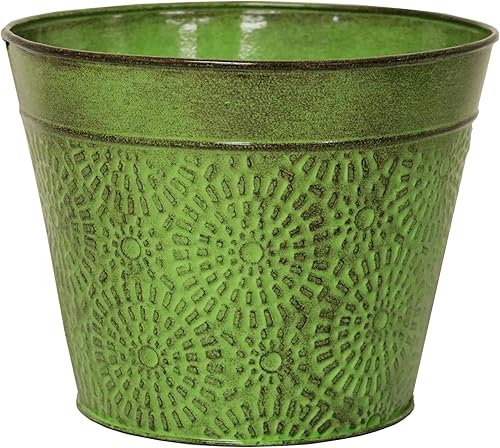 Robert Allen Home & Garden MPT02016 Cove Series - Maceta de 6 pulgadas, guisante dulce