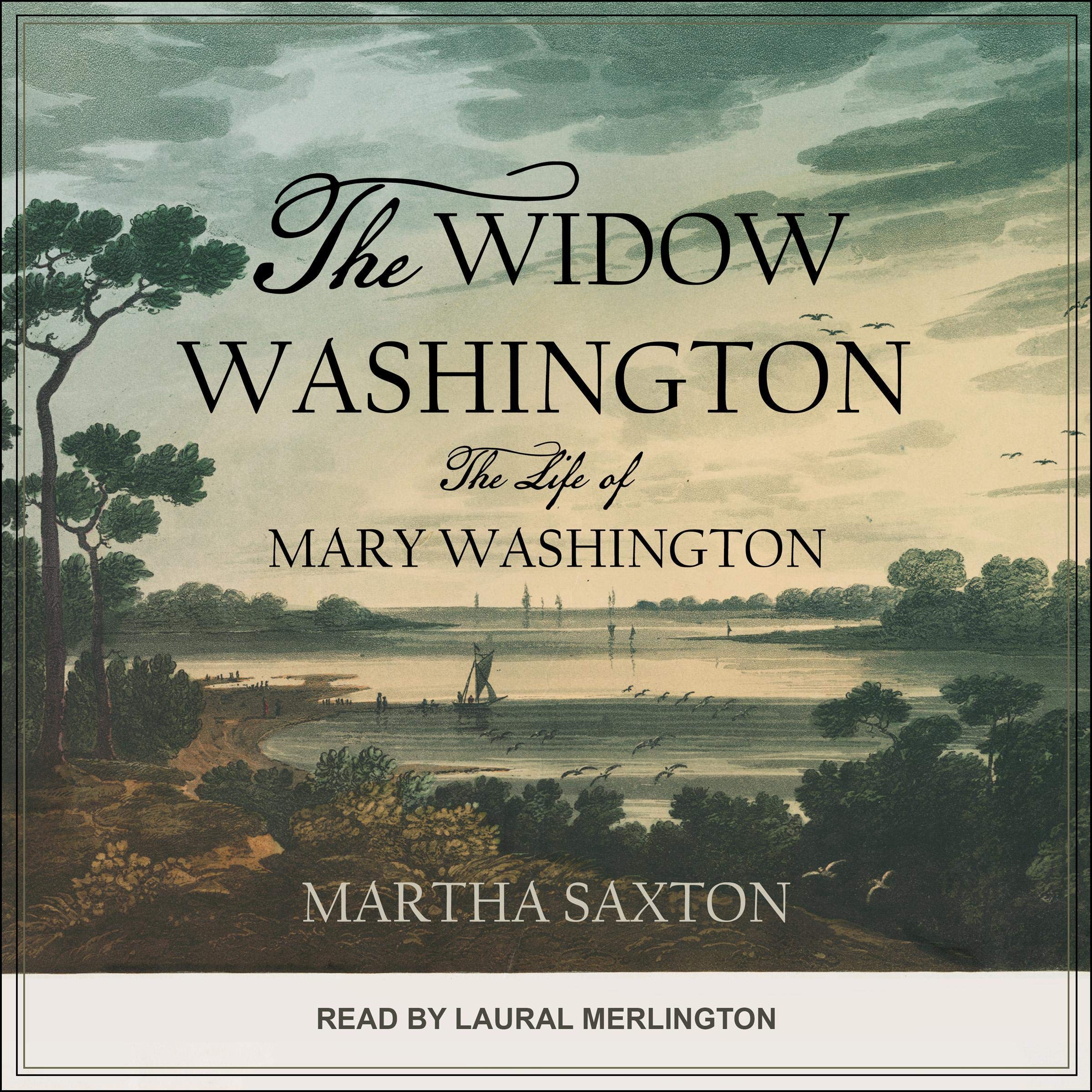 Cover art for The Widow Washington