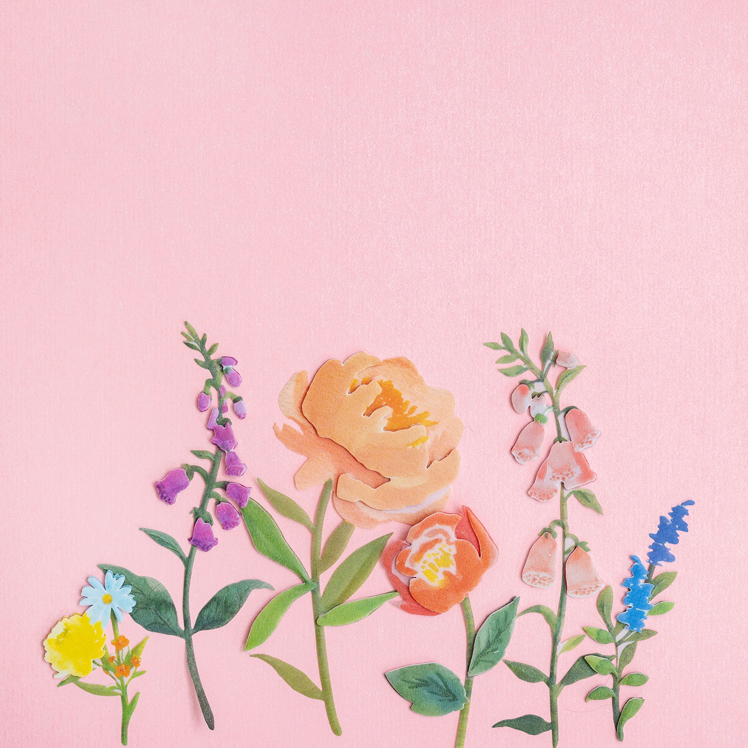 K&Co Vellum Emboss STICKR BLM, Floral Blooms