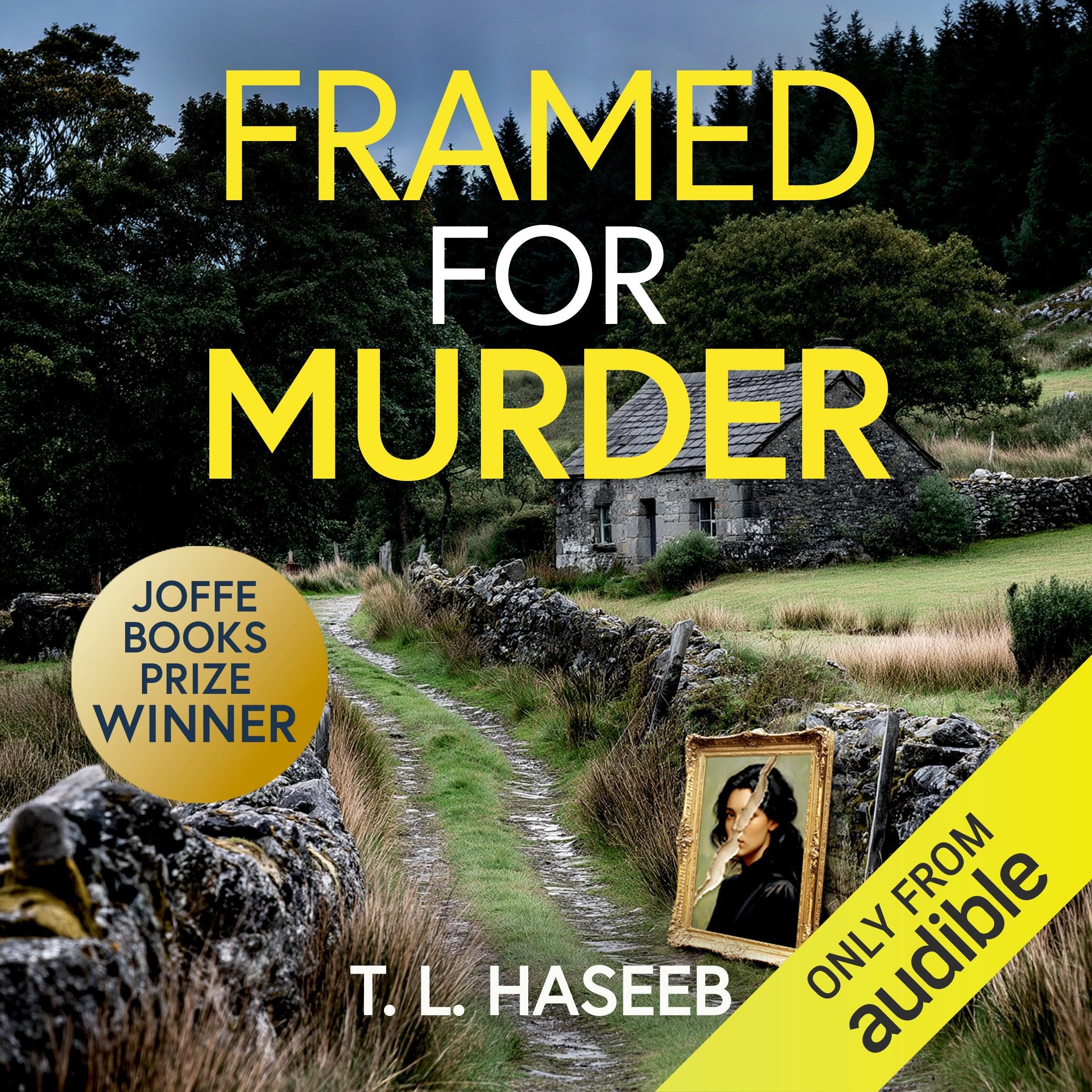 Cover art for Framed for Murder