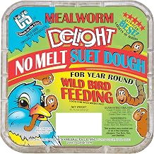 C&S Mealworm Delight, No Melt Suet Dough, 11.75 Ounce Pack of 12