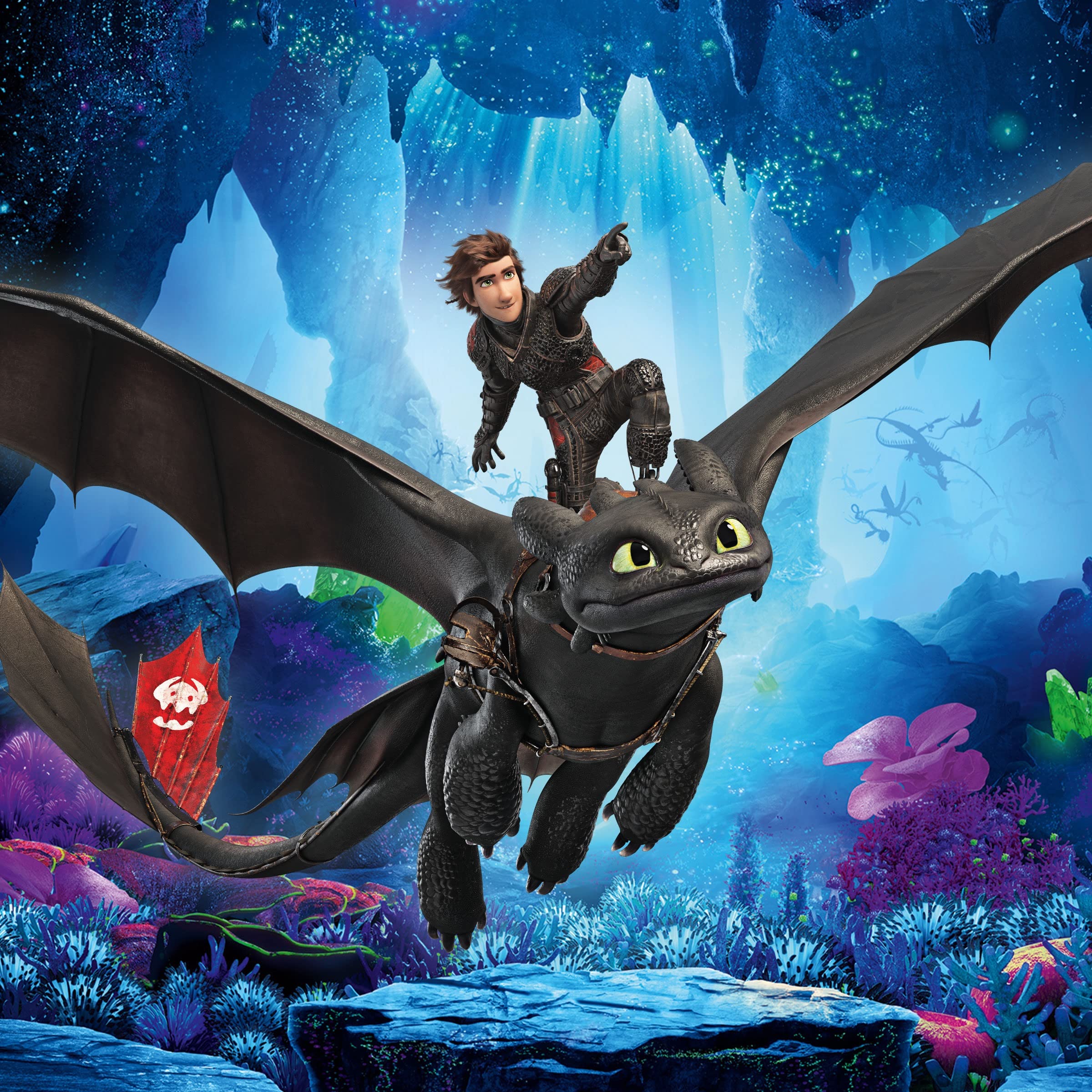 Drachenzähmen leicht gemacht