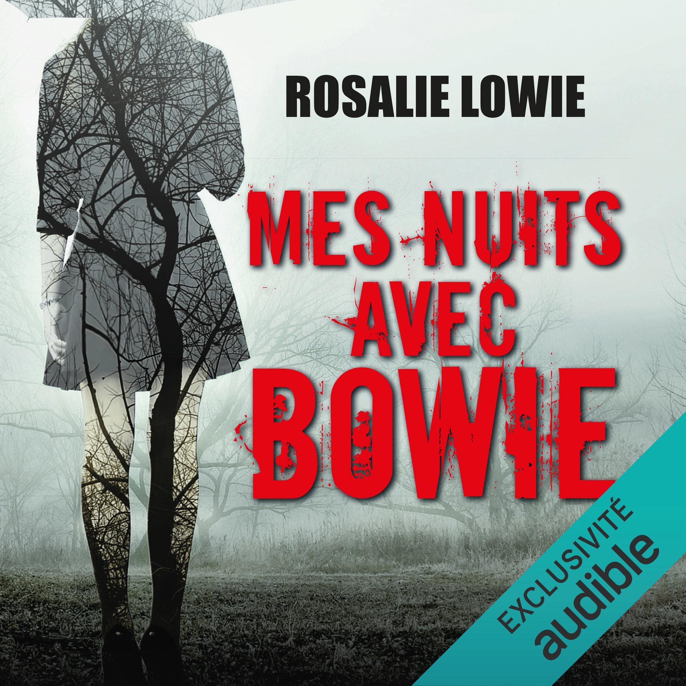 Mes nuits avec Bowie