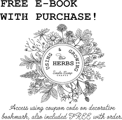 Miniatura 5 de Planta de cebollino orgánico, (Allium schoenoprasum) maceta de 2.5 pulgadas - Hierbas de jardín de cocina planta viva