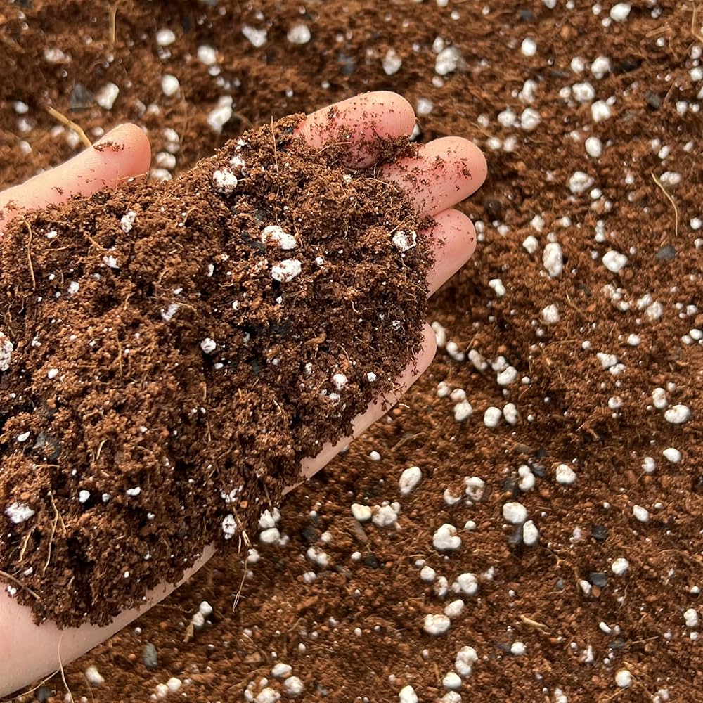 Thirsty Plant Mix: Potting Mix With Perlite And Vermiculite - Tropics In The City