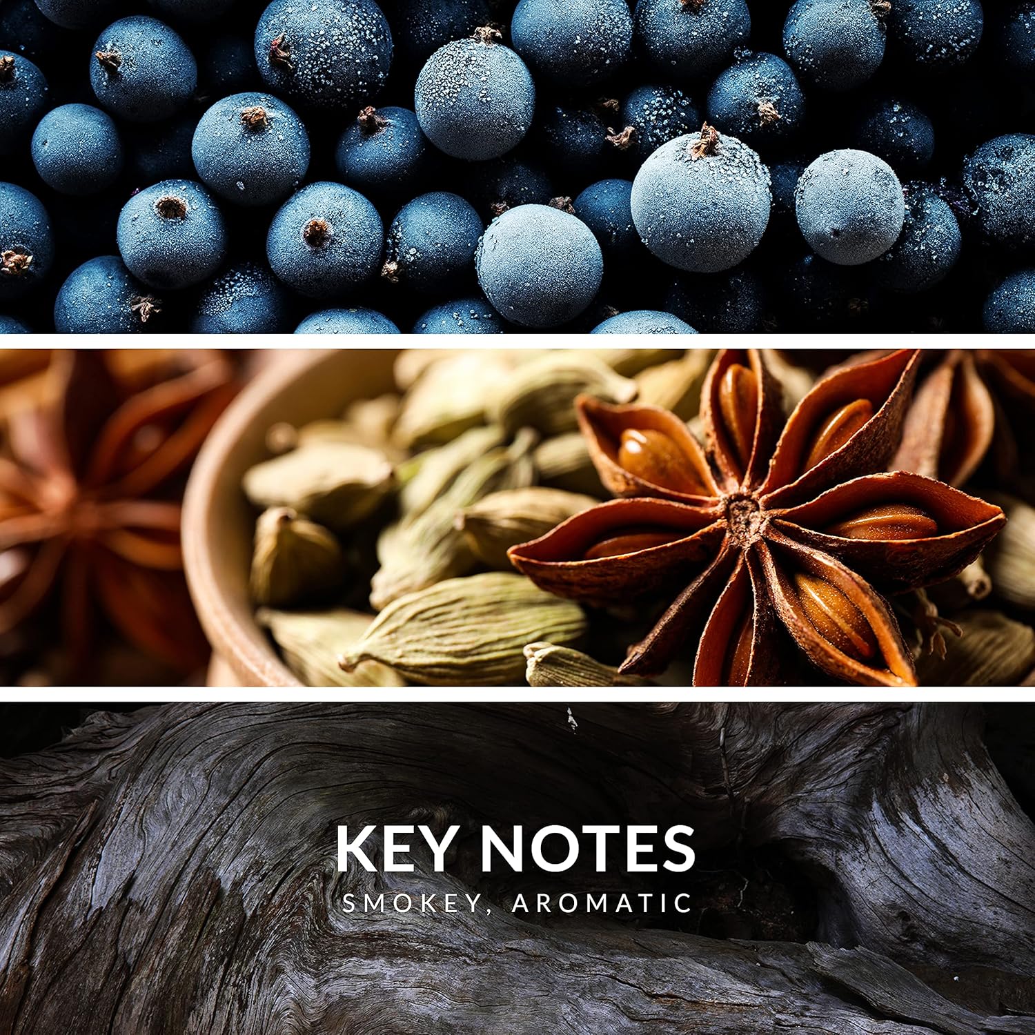 Reyane Tradition Insurrection (Extreme) - Image 6