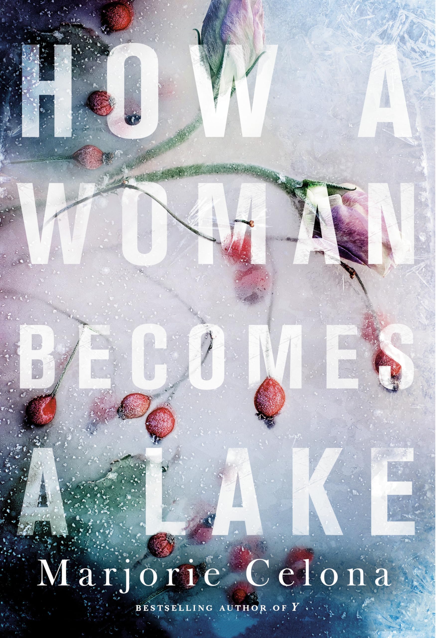 Buy How a Woman Becomes a Lake — BookShops.in