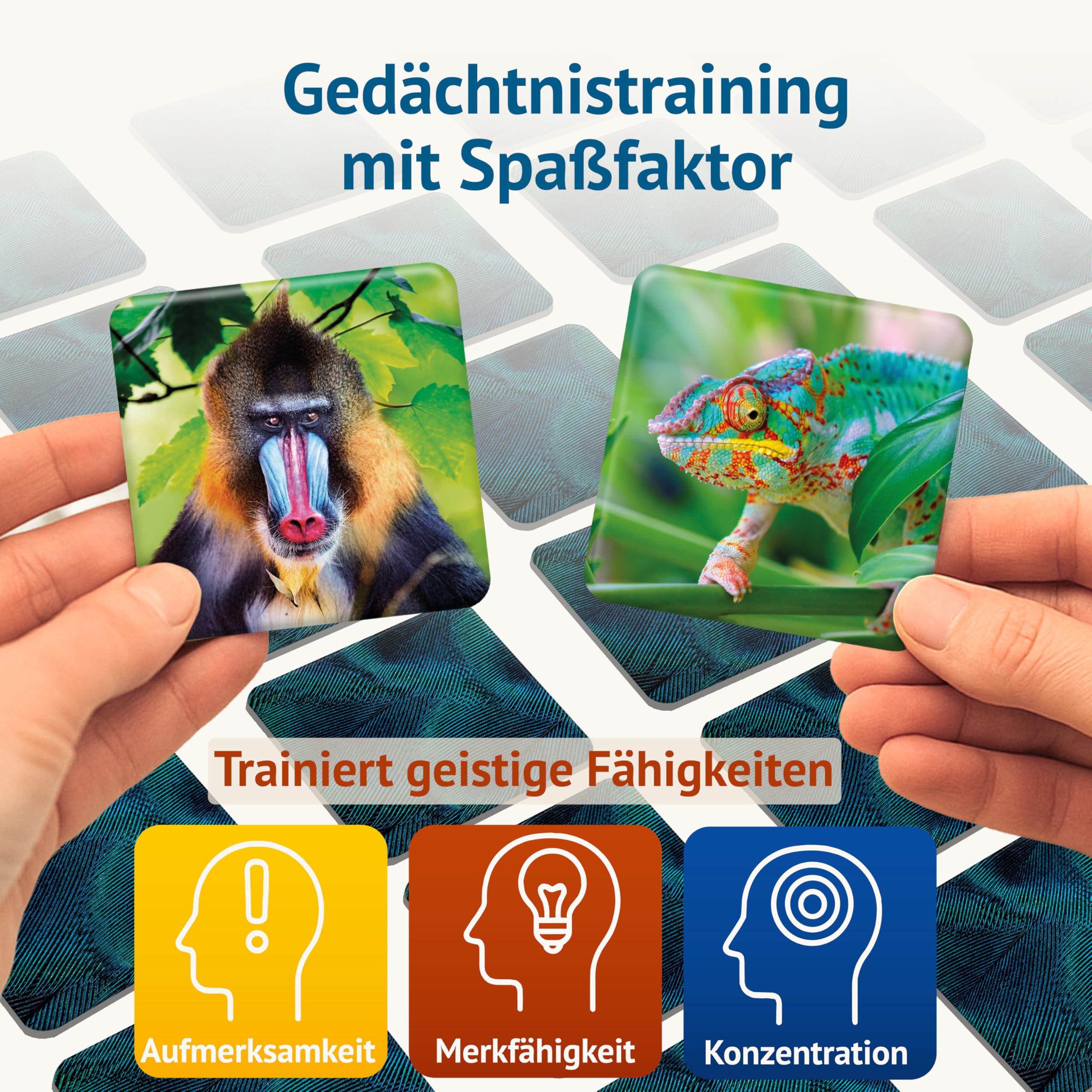 Starnberger Spiele - Farbenprächtig - Memospiel - Kartenspiel für Erwachsene und Kinder ab 6 Jahren - Geschenk für Tierliebhaber