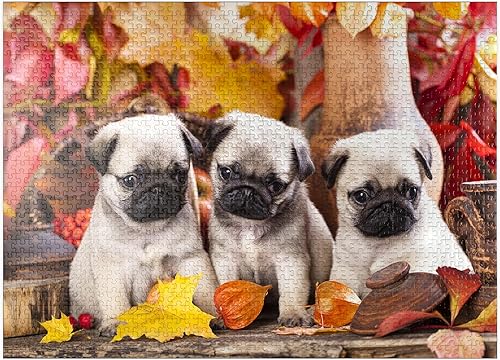 MyPuzzle Pug Puppies - Rompecabezas prémium de 1000 piezas, fabricado en Estados Unidos